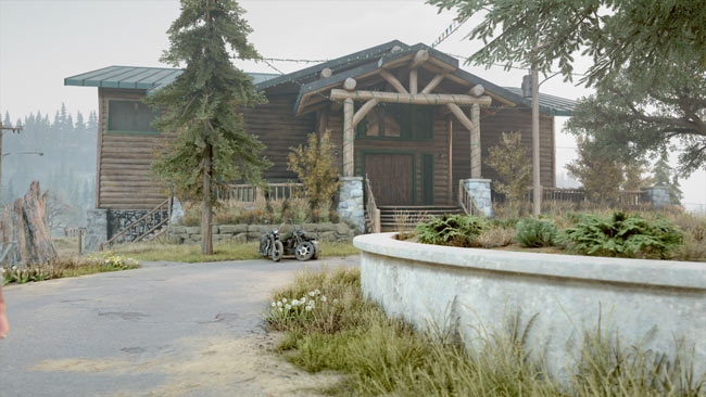 daysgone_story43_1