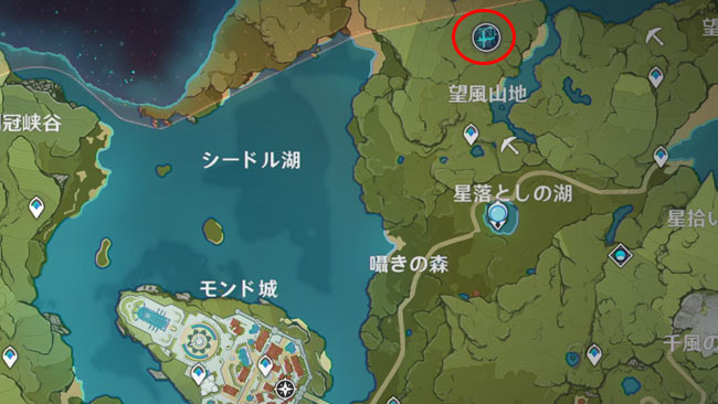 genshin-v13-evet-camera2-7