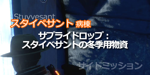 stuyvesant_drop