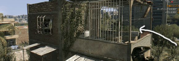 dyingLight_s4_kaleek2