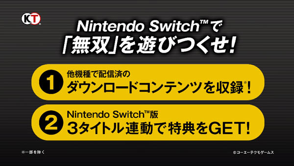 nsw_musou2
