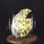 stone_2sadi