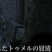 聖杯 冒涜 の