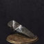 titanite_1s