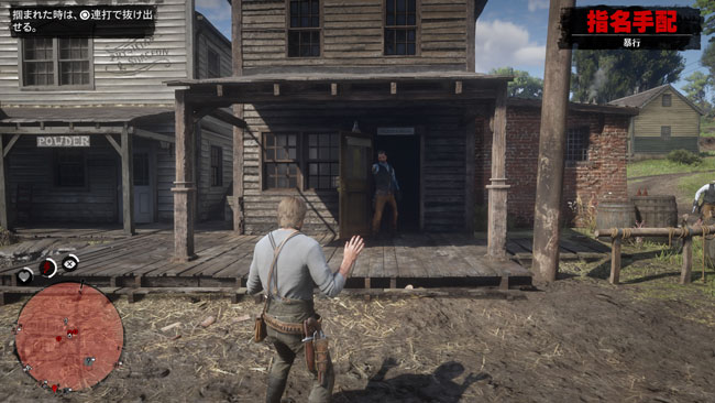 rdr2help2