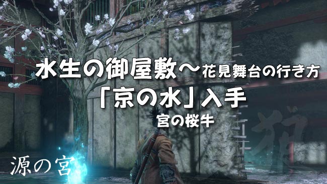 sekiro_story33usi