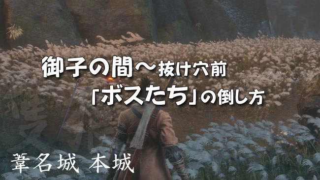 sekiro_story37