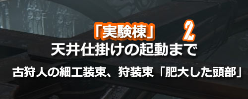 Bloodborne_night90