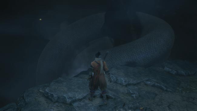 sekiro_dokudamari4