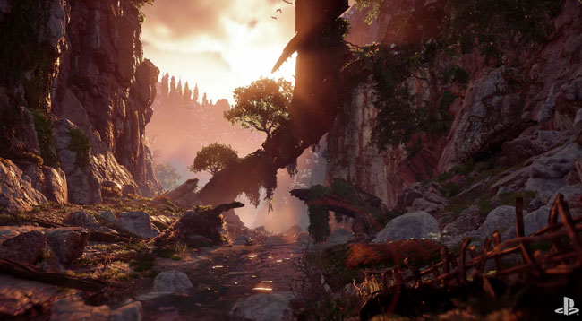 HZD_03