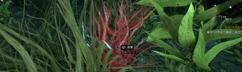 dyingLight_s4_mizukusa