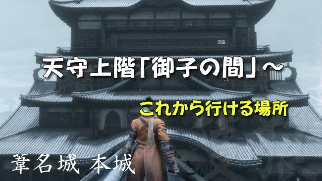 sekiro_story13