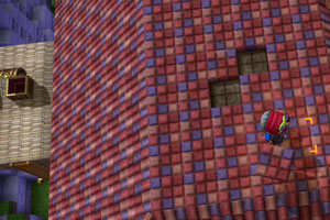 rimu_c_roof5