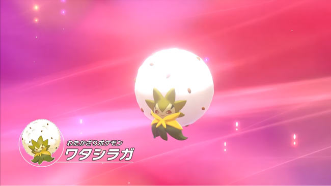 pokemon2019fbattle7
