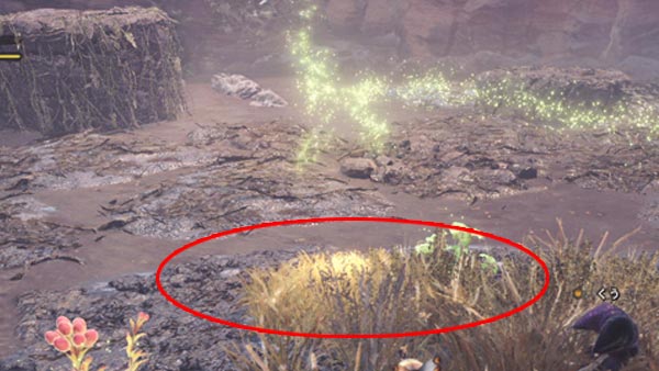 Mhw モンハンワールド攻略 クエスト 捕獲 土砂竜の生態調査 かんたんな捕まえ方 罠の位置 ゲームれぼりゅー速報