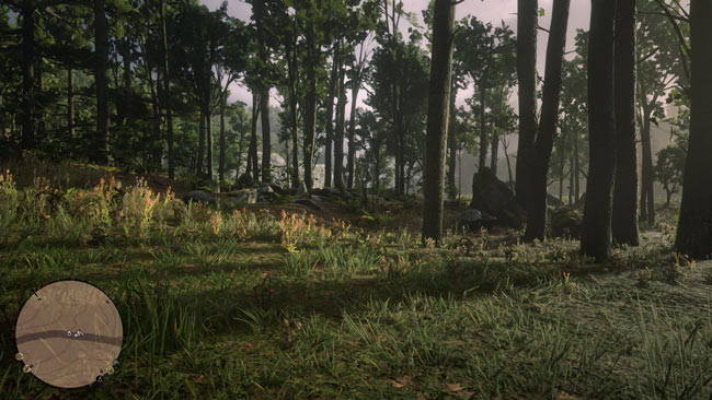 rdr2_hat2map2