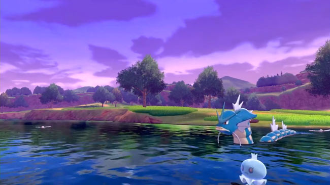pokemon2019wild1
