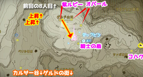 ゼルダの伝説ワイルド攻略 ゲルドの街 忘れられた剣 ミニチャレンジ スノーブーツ入手 Breathofthewild ゲームれぼりゅー速報