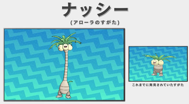 pokemon_pv4_nasi