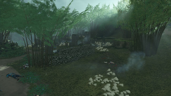 ghostof-tsushima-kusa-48-3