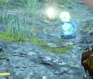 coin3_exzo3