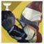 destiny2kheprissting2icon