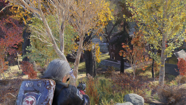 Fallout76_main6anounce8