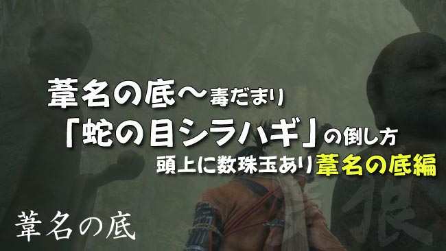 sekiro_story25