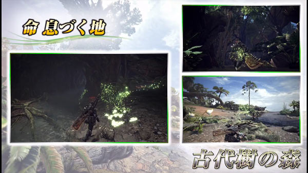 MHW_06