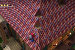 rimu_c_roof3