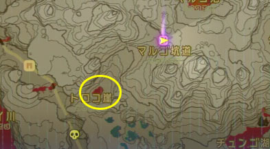 zeldabreath_shrinecha09b