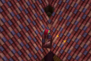 rimu_c_roof4