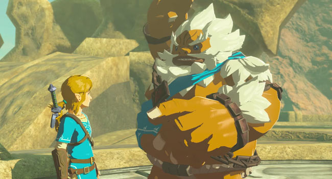 zelda_guard5