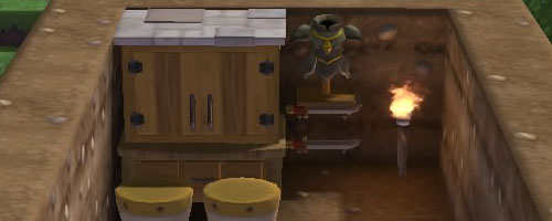 room_wskins
