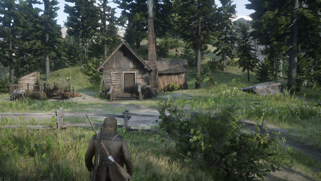 rdr2_strongweapo4map2