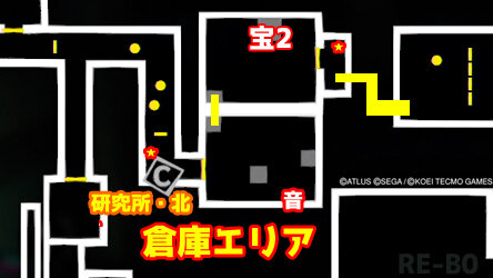p5s-okinawa-kenkyu3