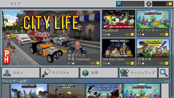 Minecraft0621_market