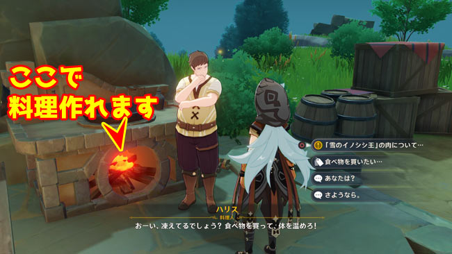 gensin-v12-quest4-9