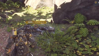 anthemmission5kaish2
