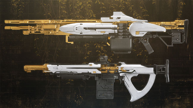 destiny2-201911season8weapo