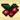 i_berry