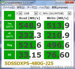 SDSSDXPS480GJ25