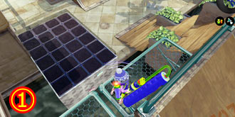 0308arowana1