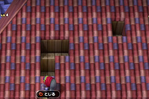 rimu_c_roof6