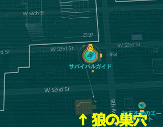 diviguide_no11