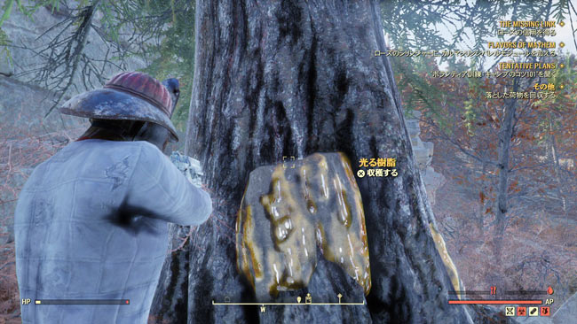 Fallout76_main8mayhem2
