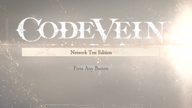 codevein2019_test0531