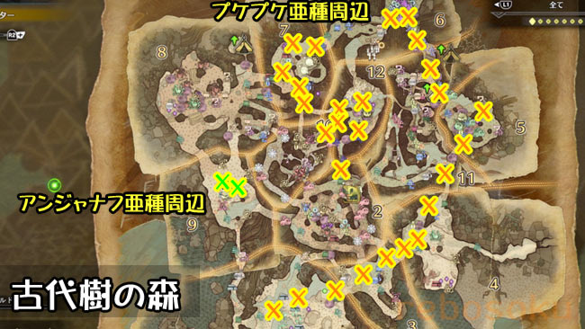 mhw-kotyu-1map