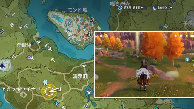 genshin-windblume-q2-5