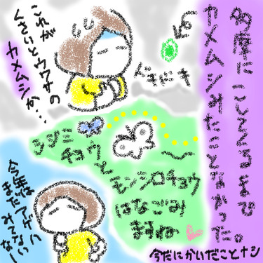モンキチョウ